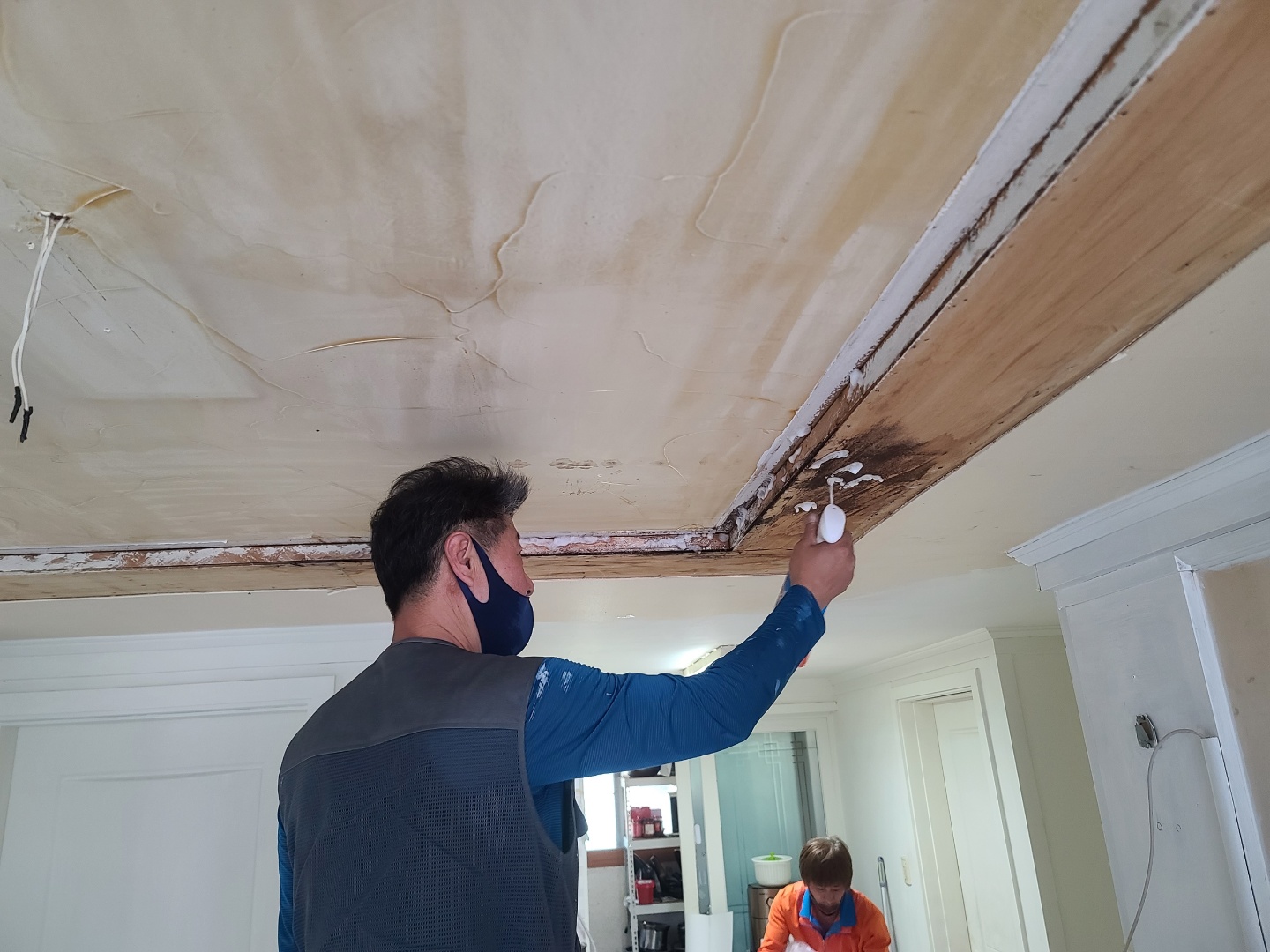 2중 곰팡이 제거 시스템